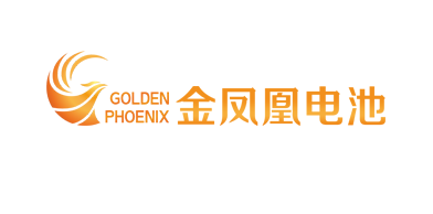 阳江电池